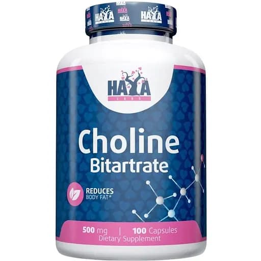 Витамины и минералы Haya Labs Choline Bitartrate 500 мг 100 капсул - фото 1