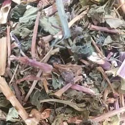 100 г гречка цвіт+трава сушена - свіжий урожай