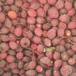 100 г боярышник плоды/ягоды сушеные  - свежий урожай