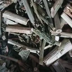 100 г цикорий обыкновенный трава/лист сушеный - свежий урожай