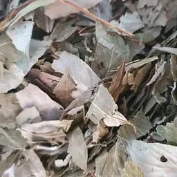 100 г ива/верба белая лист сушеный - свежий урожай