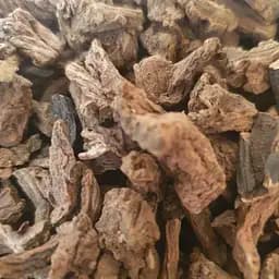 100 г чистотіл коріння сушене - свіжий урожай