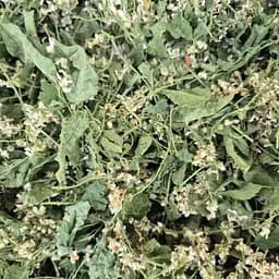 100 г черемха цвіт сушений- свіжий урожай