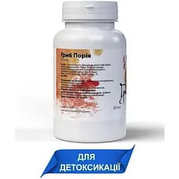 Гриб порія Bekandze знижує запалення селезінки, виводить рідину з бронхів 400 мг 60 капсул - мініатюра 2