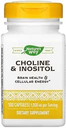 Вітаміни та мінерали Nature's Way Choline & Inositol, 100 капсул