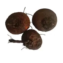 100 г цикламен/альпійська фіалка/дряква бульби свіжі - свіжий урожай