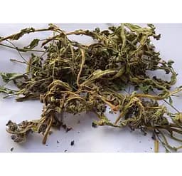 Медунка Трава Медуниця Pulmonaria officinalis - мініатюра 1