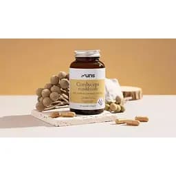 Екстракт гриба кордицепс UNS Cordyceps Mushroom 60 вегетаріанських капсул (2022-10-2713) - мініатюра 3