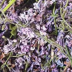 100 г бузок цвіт сушений - свіжий урожай