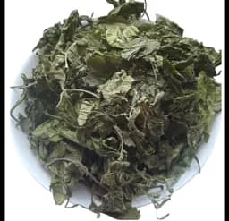 Бузина чорна Листя Бозяк Буз Самбук Бездерево Sambucus nigra - мініатюра 1
