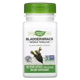 Фукус пухирчастий Nature's Way Bladderwrack, 100 вегакапсул для підтримки щитовидної залози - мініатюра 1