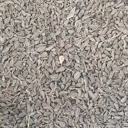 100 г анис обыкновенный плоды/семена сушеные - свежий урожай