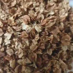 100 г щавель кислый семена - свежий урожай