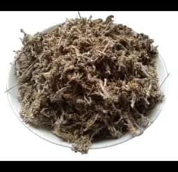 Сушениця болотна Трава Сухоцвіт Волошки Товстушка Gnaphalium uliginosum - мініатюра 1