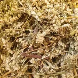 100 г чернобыльник/полынь обыкновенная трава сушеная - свежий урожай