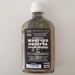 Водна настоянка на траві живучка повзуча 200 мл