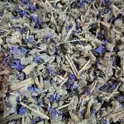 100 г синяк трава сушена – свіжий урожай
