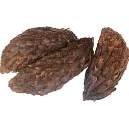 100 г папоротник мужской/щитовник корень сушеный - свежий урожай