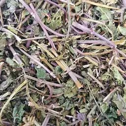 100 г будра обыкновенная трава сушеная - свежий урожай