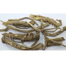 Любисток Корінь Levisticum officinale - мініатюра 1