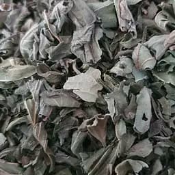 100 г топинамбур/земляная груша лист сушеный - свежий урожай