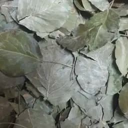 100 г груша лист сушеный