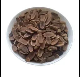 Жолудь Quercus robur