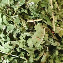 100 г папоротник лист сушеный