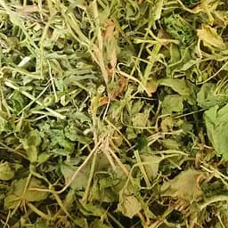 100 г звездчатка средняя/мокрица трава сушеная - свежий урожай