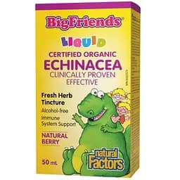 Ехінацея Natural Factors BigFriends Echinacea Alcohol-Free Fresh Herb Tincture for Kids 50 мл