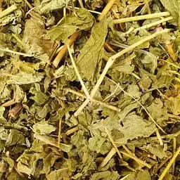 100 г ежевика сизая листья сушеные - свежий урожай