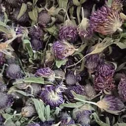 100 г клевер цвет/трава сушеный - свежий урожай