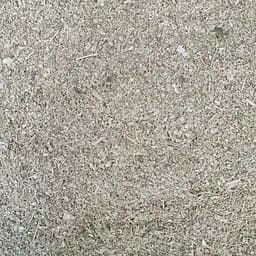 100 г сенна лист молотый сушеный - свежий урожай