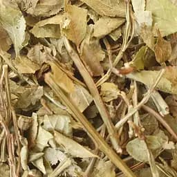 100 г чорниця пагони сушені - свіжий урожай