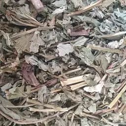 100 г гравілат річковий трава сушена - свіжий урожай