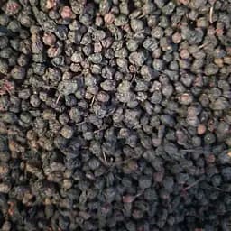 100 г чорниця плоди/ягоди сушені - свіжий урожай