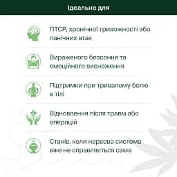 Дієтична добавка Pephemp Олія 20% СBD Isolate зі смаком м'яти 10 мл - мініатюра 2