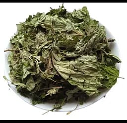 Ліщина Листя Горішник Орішина Лісовий горіх Corylus avellana