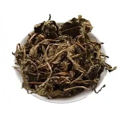 Кульбаба Трава Бабка Пустодуй Маївка Taraxacum officinale Taraxacum officinale