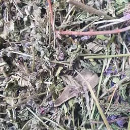 100 г вероніка лікарська трава сушена - свіжий урожай