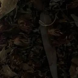 Сбор травяной для нормализации внутречерепного давления,  100 г