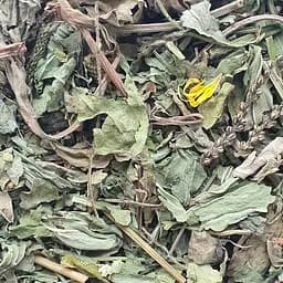 100 г подорожник лист сушений - свіжий урожай