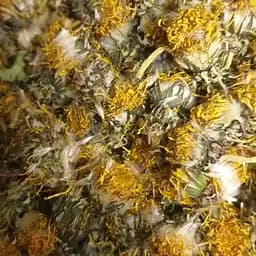 100 г одуванчик цвет сушеный - свежий урожай