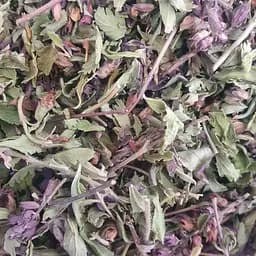 100 г дубровник обыкновенный/самосил трава сушеная - свежий урожай