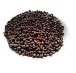 Ялівець Плоди Боровиця Можжевельник Juniperus communis