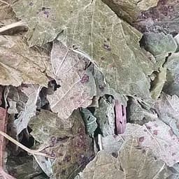 100 г смородина чорна лист сушений - свіжий урожай