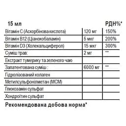 Комплекс для зв`язок та суглобів Sporter Joint Support Лісові ягоди 500 мл - мініатюра 2