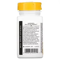 Вітаміни та мінерали Nature's Way Pantothenic Acid, 100 капсул - мініатюра 3