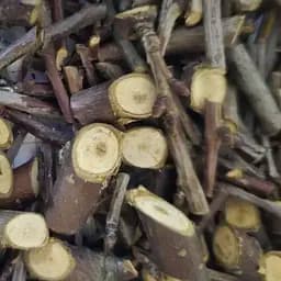 100 г вишня (вишни) ветки измельченные сушеные - свежий урожай