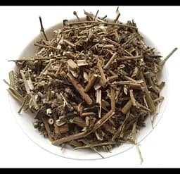 Цикорій Трава Cichorium endivia